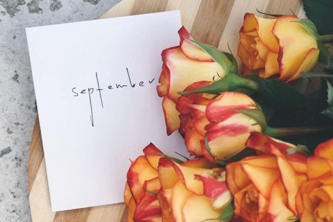 We Loved: Our September Favourites