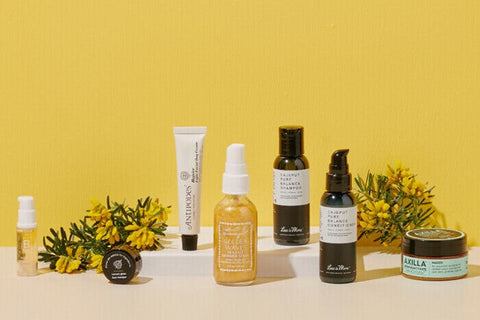 Our Spring Box: What's All The Buzz About?