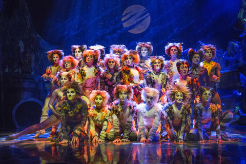 Get The Look: Cats the Musical