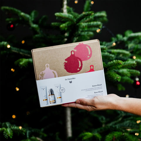 Hand holding Dr Hauschka Rose Ritual Christmas Set, a 3-step morning care ritual box. The box features deluxe sample sizes of Soothing Cleansing Milk, Facial Toner, and a full size tube of Rose Day Cream. The box design is elegant and minimalistic, showcasing the brand's signature natural skincare products. Box held up against a background with Christmas trees.