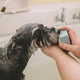 Bow Wow Bar Nourishing Solid Dog Shampoo Mini