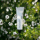 Antipodes Aura Manuka Honey Mask