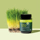 Melrose Organic Barley Grass Powder