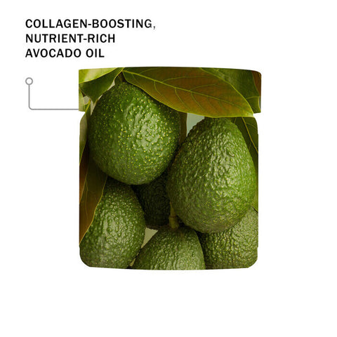 Antipodes Avocado Pear Nourishing Night Cream