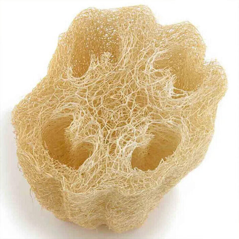 Eco Max Cleopatra Loofah