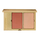 Complexion Duo Luminate 10g