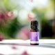 ECO. Modern Essentials Lavender Pure Essential Oil