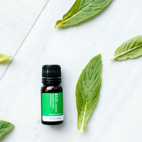 ECO. Modern Essentials Peppermint Pure Essential Oil