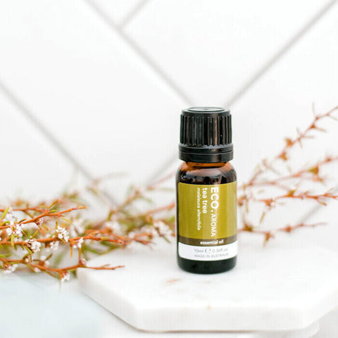 ECO. Modern Essentials Tea Tree Pure Essential Oil