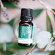 ECO. Modern Essentials Australian Eucalyptus (Blue Mallee) Pure Essential Oil