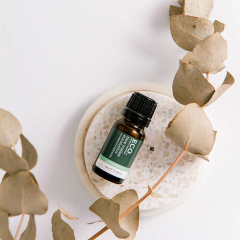 ECO. Modern Essentials Australian Eucalyptus (Blue Mallee) Pure Essential Oil