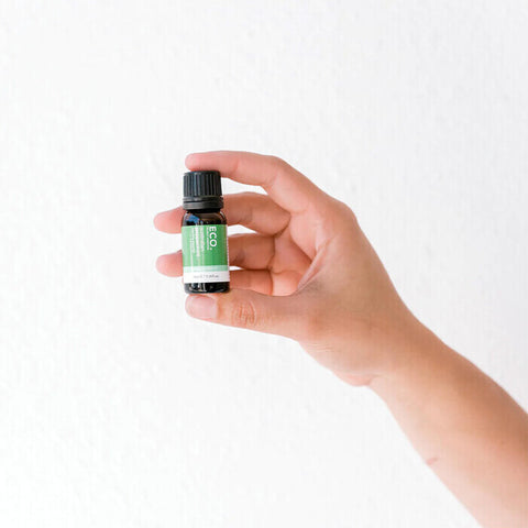 ECO. Modern Essentials Australian Peppermint Pure Essential Oil