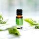 ECO. Modern Essentials Basil Pure Essential Oil