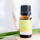 ECO. Modern Essentials Citronella Pure Essential Oil