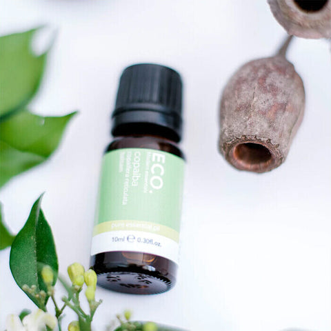 ECO. Modern Essentials Copaiba Pure Essential Oil