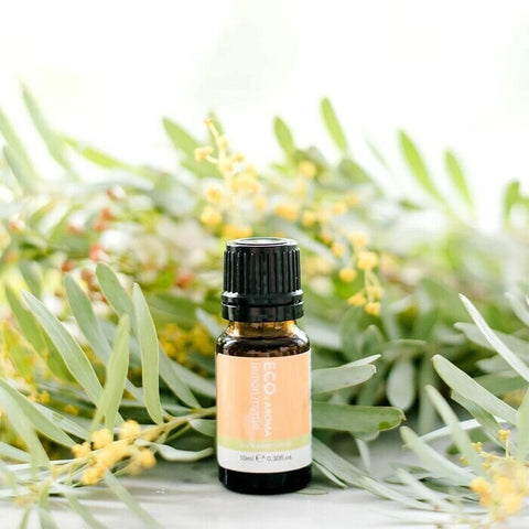 ECO. Modern Essentials Lemon Myrtle Pure Essential Oil