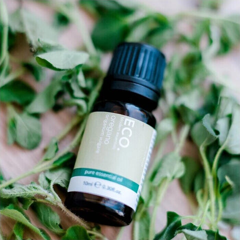 ECO. Modern Essentials Oregano Pure Essential Oil