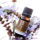 ECO. Modern Essentials Patchouli Pure Essential Oil