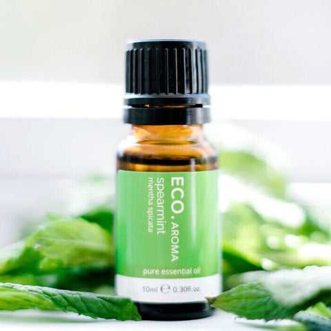 ECO. Modern Essentials Spearmint Pure Essential Oil