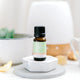 ECO. Modern Essentials Digestive Essential Oil Blend