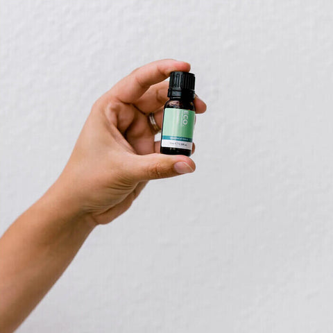 ECO. Modern Essentials Breathe Essential Oil Blend