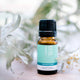 ECO. Modern Essentials Breathe Essential Oil Blend