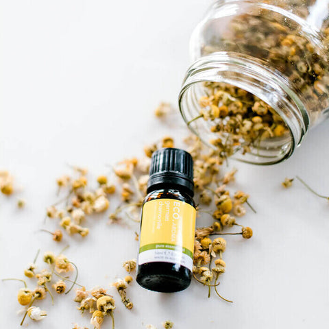 ECO. Modern Essentials Chamomile 3% (German) Essential Oil