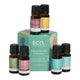 ECO. Modern Essentials Diffuser Blends Collection 6 x 10ml