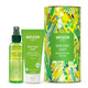 Weleda Skin Food Light Nourish & Glow Gift Set 2 Item Pack